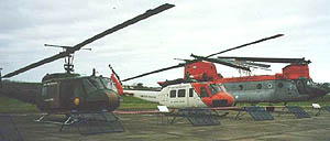 Argentina's Chinook H-91.