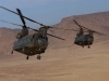 The Austrailian Army CH-47D Chinook flying in support of the Global War on Terrorism.