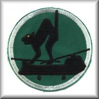 213th ASHC - "Black Cats" Unit Patch while in the Republic of Vietnam.